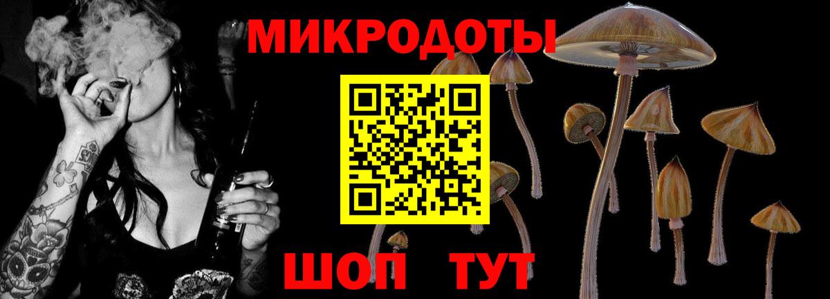 Псилоцибиновые грибы GOLDEN TEACHER  Вход с VPN  Энгельс 